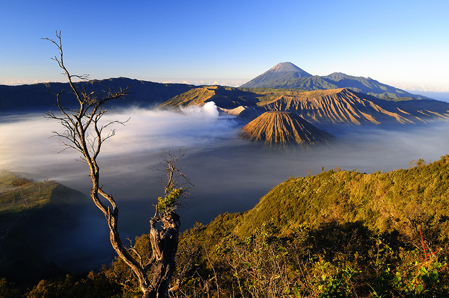 Magické ráno s výhledem na sopky Bromo, Batok a Semeru.