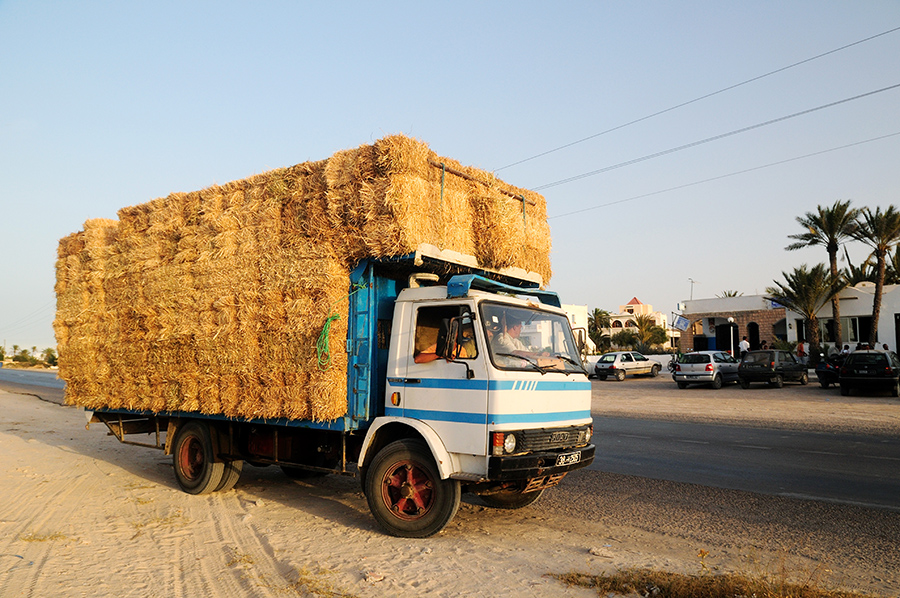 tunis-djerba-2009-11