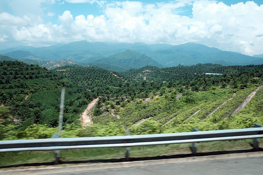 Cestou na Cameron Highlands, Malajsie