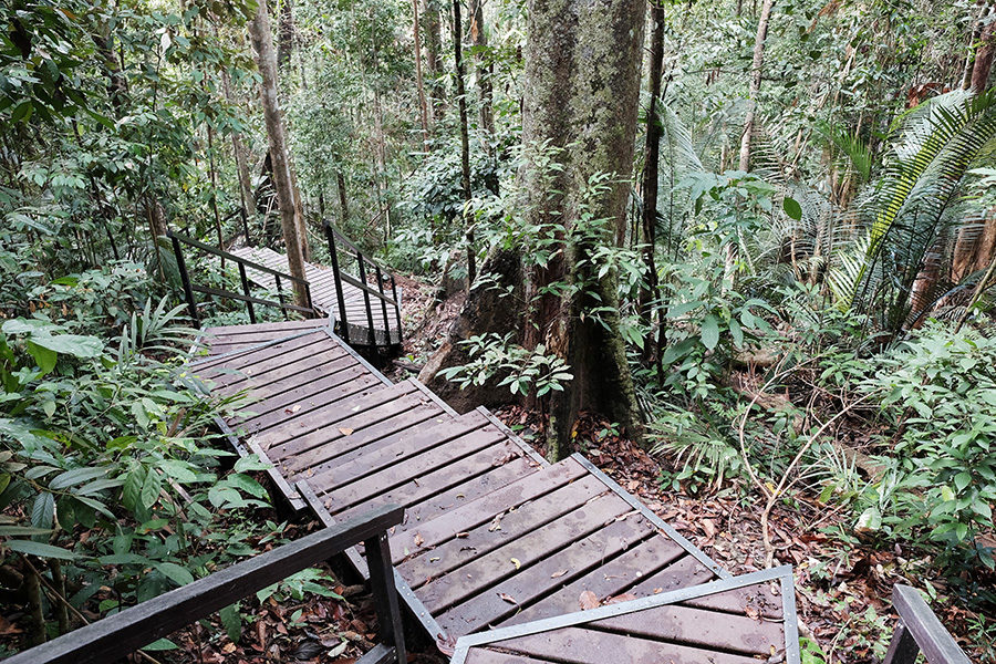 Taman Negara, Malajsie