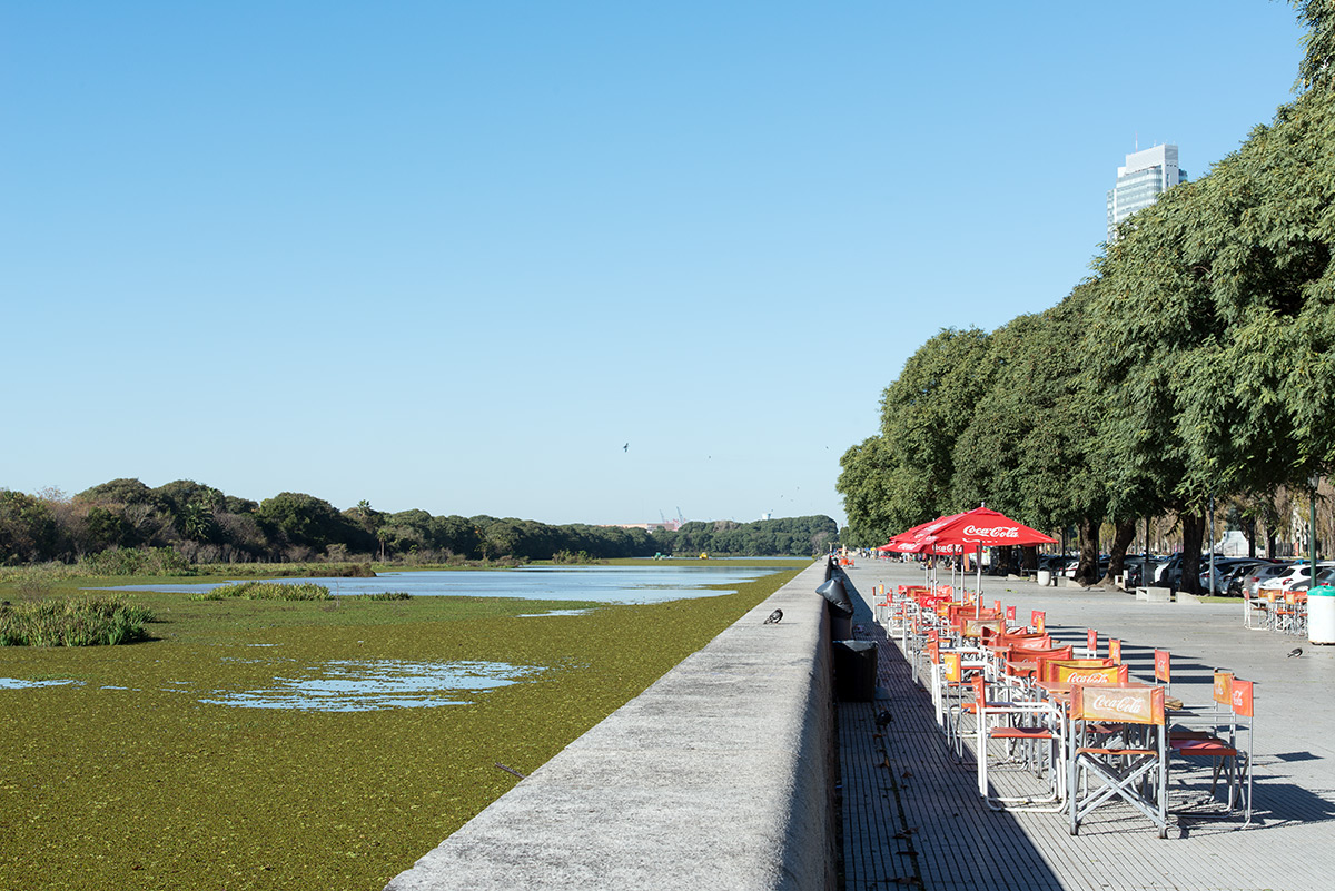 mokřady a zeleň v Puerto Madero, Buenos Aires, Argentina